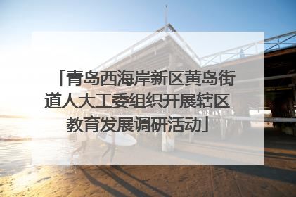 青岛西海岸新区黄岛街道人大工委组织开展辖区教育发展调研活动