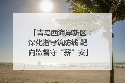 青岛西海岸新区：深化指导筑防线 靶向监督守“薪”安