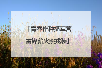 青春作种播军营 雷锋薪火照戎装