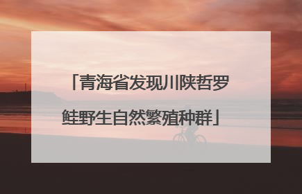 青海省发现川陕哲罗鲑野生自然繁殖种群