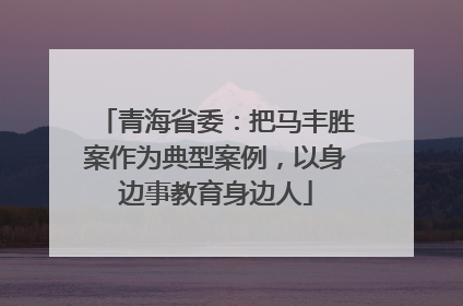 青海省委：把马丰胜案作为典型案例，以身边事教育身边人