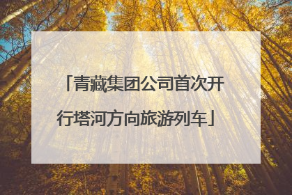青藏集团公司首次开行塔河方向旅游列车