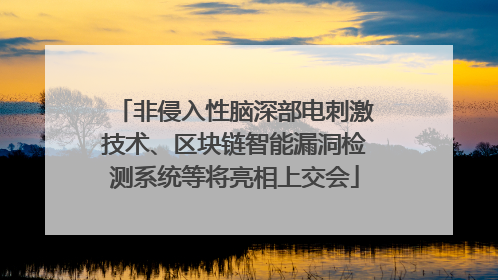 非侵入性脑深部电刺激技术、区块链智能漏洞检测系统等将亮相上交会