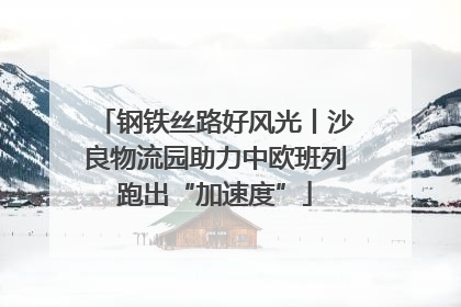 钢铁丝路好风光丨沙良物流园助力中欧班列跑出“加速度”