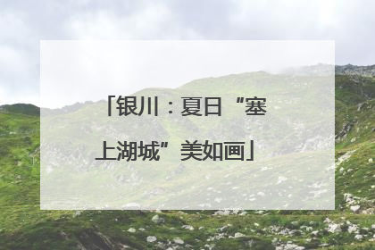 银川：夏日“塞上湖城”美如画