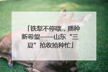 铁犁不停歇，播种新希望——山东“三夏”抢收抢种忙