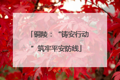 铜陵：“铸安行动”筑牢平安防线