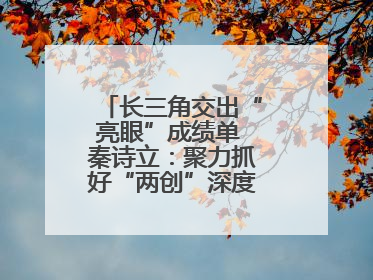长三角交出“亮眼”成绩单 秦诗立：聚力抓好“两创”深度融合这个棋眼