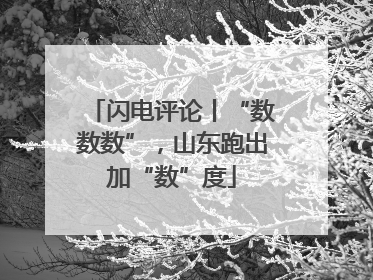 闪电评论丨“数数数”，山东跑出加“数”度