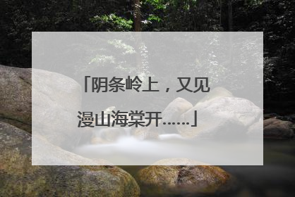 阴条岭上，又见漫山海棠开……