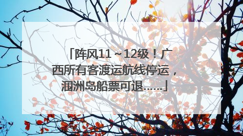 阵风11～12级！广西所有客渡运航线停运，涠洲岛船票可退……