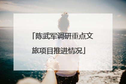 陈武军调研重点文旅项目推进情况