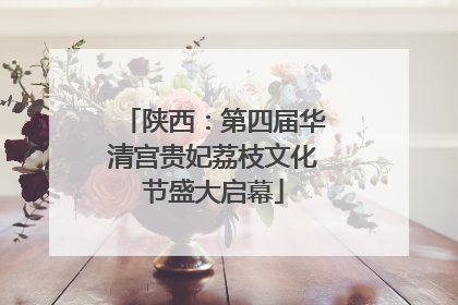 陕西：第四届华清宫贵妃荔枝文化节盛大启幕