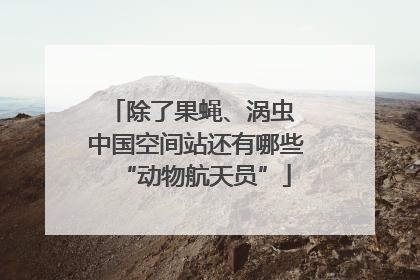 除了果蝇、涡虫 中国空间站还有哪些“动物航天员”