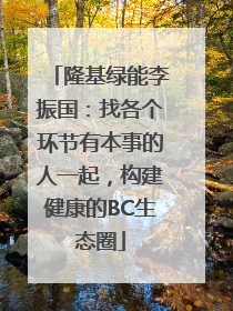 隆基绿能李振国：找各个环节有本事的人一起，构建健康的BC生态圈