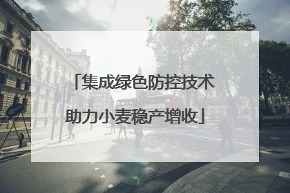 集成绿色防控技术助力小麦稳产增收