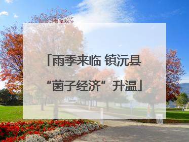雨季来临 镇沅县“菌子经济”升温