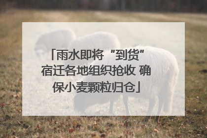 雨水即将“到货” 宿迁各地组织抢收 确保小麦颗粒归仓