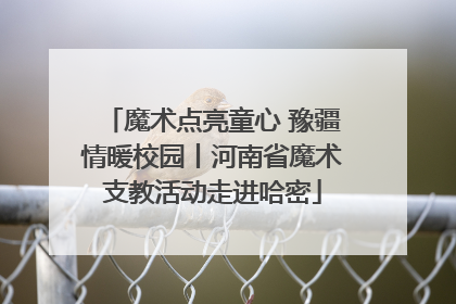 魔术点亮童心 豫疆情暖校园丨河南省魔术支教活动走进哈密