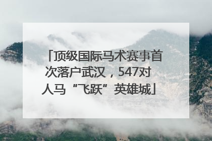 顶级国际马术赛事首次落户武汉，547对人马“飞跃”英雄城