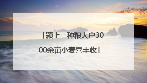 颍上一种粮大户3000余亩小麦喜丰收