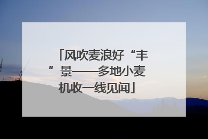 风吹麦浪好“丰”景——多地小麦机收一线见闻