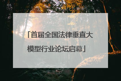 首届全国法律垂直大模型行业论坛启幕
