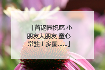 首钢园祝愿 小朋友大朋友 童心常驻！多图……