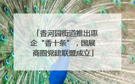 香河园街道推出惠企“香十条”，国展商圈党建联盟成立