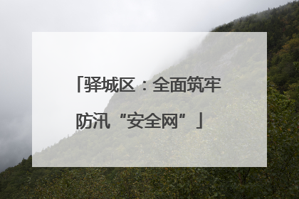 驿城区：全面筑牢防汛“安全网”