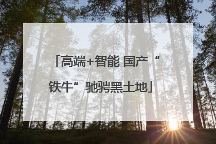 高端+智能 国产“铁牛”驰骋黑土地