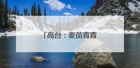 高台：麦苗青青“话”丰收 粮田孕育新“丰”景