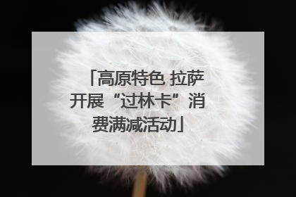 高原特色 拉萨开展“过林卡”消费满减活动