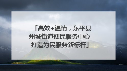 高效+温情，东平县州城街道便民服务中心打造为民服务新标杆