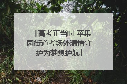 高考正当时 苹果园街道考场外温情守护为梦想护航
