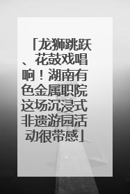 龙狮跳跃、花鼓戏唱响！湖南有色金属职院这场沉浸式非遗游园活动很带感