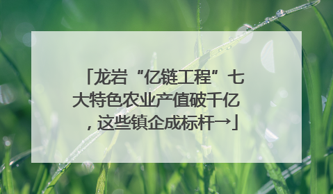 龙岩“亿链工程”七大特色农业产值破千亿，这些镇企成标杆→