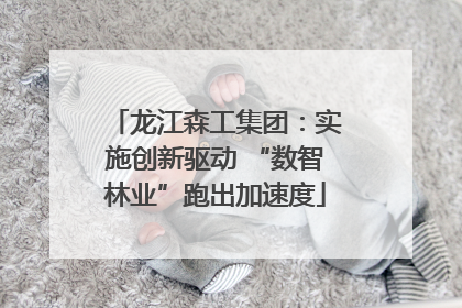 龙江森工集团：实施创新驱动 “数智林业”跑出加速度
