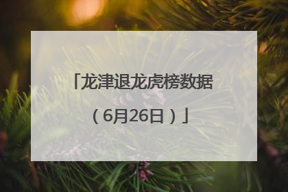 龙津退龙虎榜数据（6月26日）