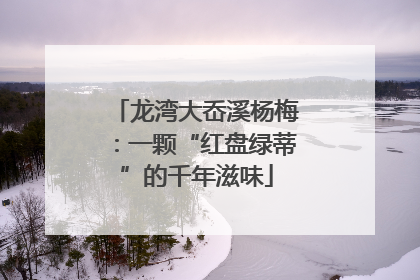 龙湾大岙溪杨梅：一颗“红盘绿蒂”的千年滋味
