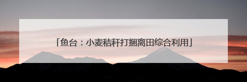 鱼台：小麦秸秆打捆离田综合利用