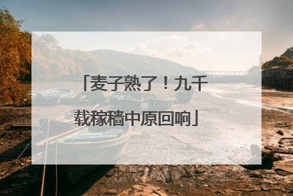 麦子熟了！九千载稼穑中原回响