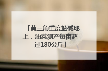 黄三角重度盐碱地上，油菜测产每亩超过180公斤