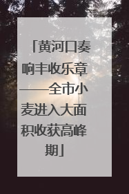 黄河口奏响丰收乐章——全市小麦进入大面积收获高峰期