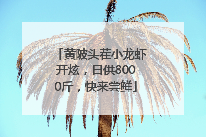 黄陂头茬小龙虾开炫，日供8000斤，快来尝鲜
