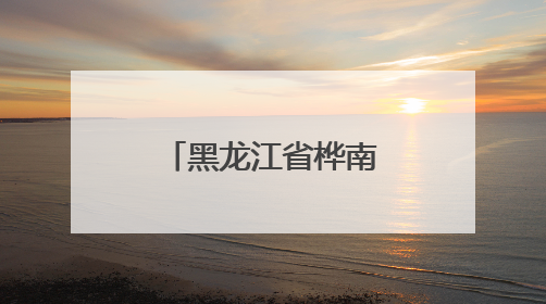 黑龙江省桦南县开展“父爱如山 真情相伴”志愿服务活动