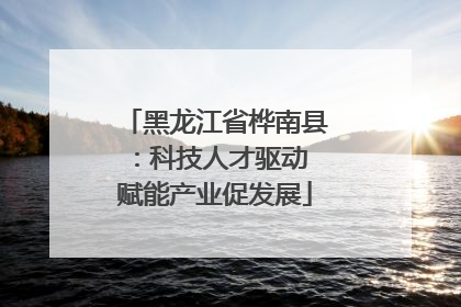 黑龙江省桦南县：科技人才驱动 赋能产业促发展