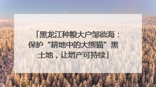 黑龙江种粮大户邹德海：保护“耕地中的大熊猫”黑土地，让增产可持续