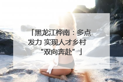 黑龙江桦南：多点发力 实现人才乡村“双向奔赴”