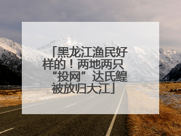 黑龙江渔民好样的！两地两只“投网”达氏鳇被放归大江